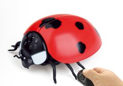 Радиоуправляемая игрушка Best Fun Toys Ladybug на р/у Божья коровка 6337205 Mams family