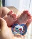Пустушка силіконова Baby-Nova, ортодонтична нічна, розмір 1, блакитна 3962479 фото 5 Mams family