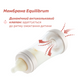 Пляшечка пластик Chicco PERFECT 5 Kitten, 150 мл, соска силікон, 0 м+ 3000570 фото 5 Mams family