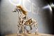 3D пазл UGEARS механічний "Кінь" 6333809 фото 6 Mams family