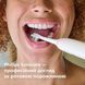 Набор насадок для звуковой зубной щетки Philips HX9092/87 Sonicare, серии A3 Premium All-in-One, белый, 2 шт 3930646 фото 9 Mams family