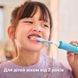 Насадки для детской звуковой зубной щетки Philips HX6042/90 Sonicare for kids Kids, средняя насадка, от 7 лет, 2 шт 3700139 фото 5 Mams family