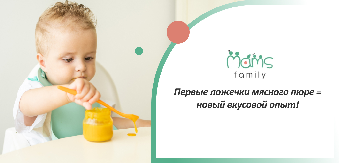 мясные пюре Гербер, Hame и HiPP купить в Mams.family