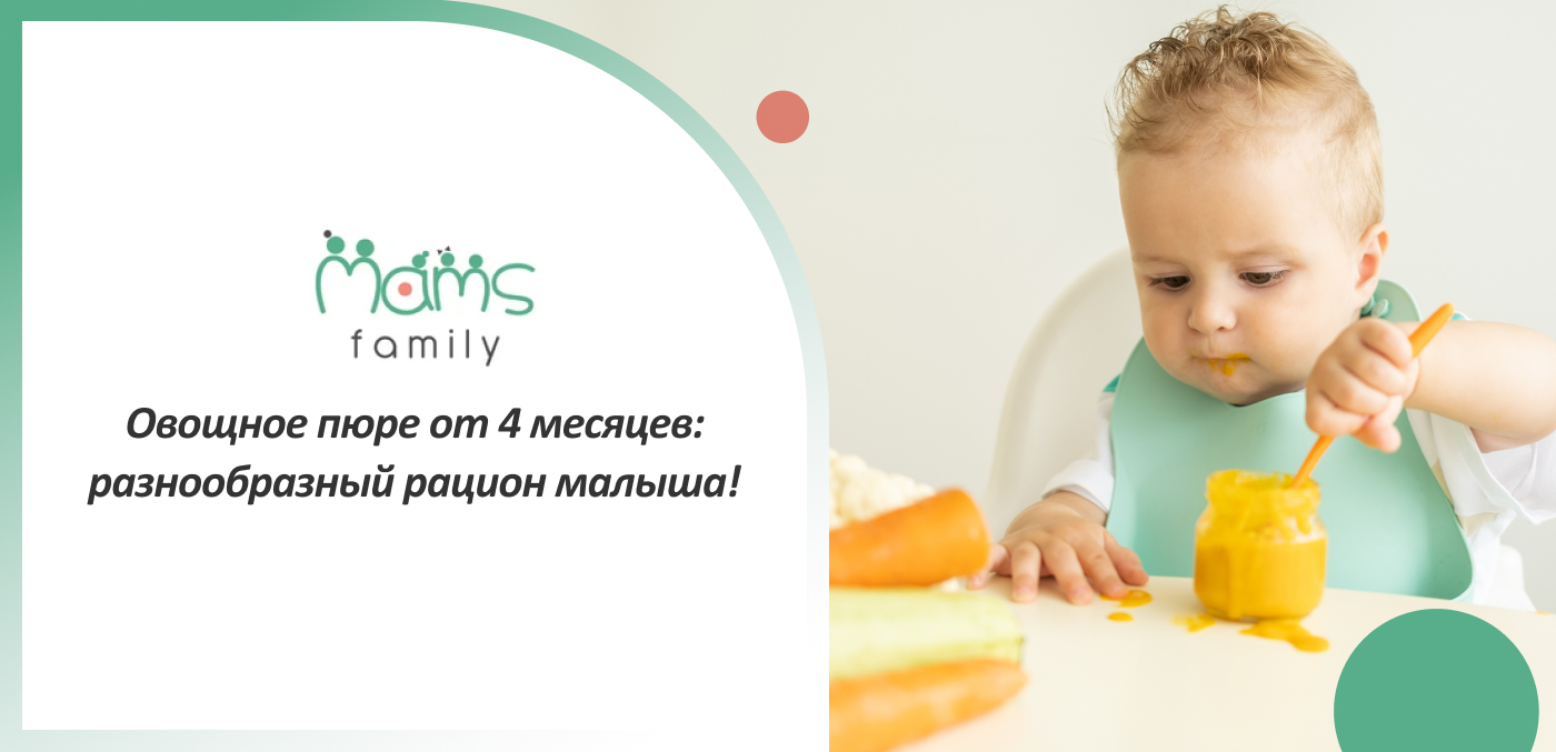 качественное пюре овощное с 4 месяцев купить Мамс Фемили